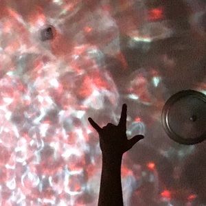 Meet your Posher, Harper